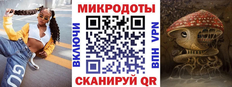 Псилоцибиновые грибы Psilocybe  Гагарин 
